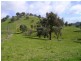 450 U.T Creek Rd, Alexandra VIC 3714