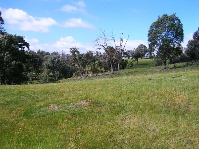 450 U.T Creek Rd, Alexandra VIC 3714