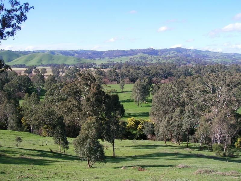 547 Acheron Road, Acheron VIC 3714