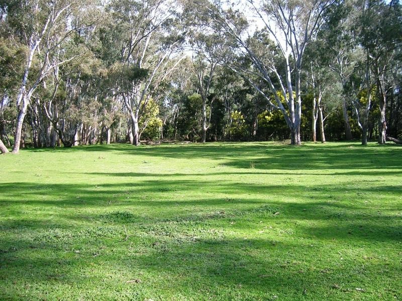 547 Acheron Road, Acheron VIC 3714