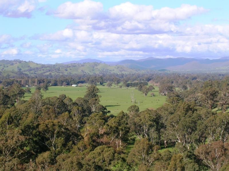 547 Acheron Road, Acheron VIC 3714