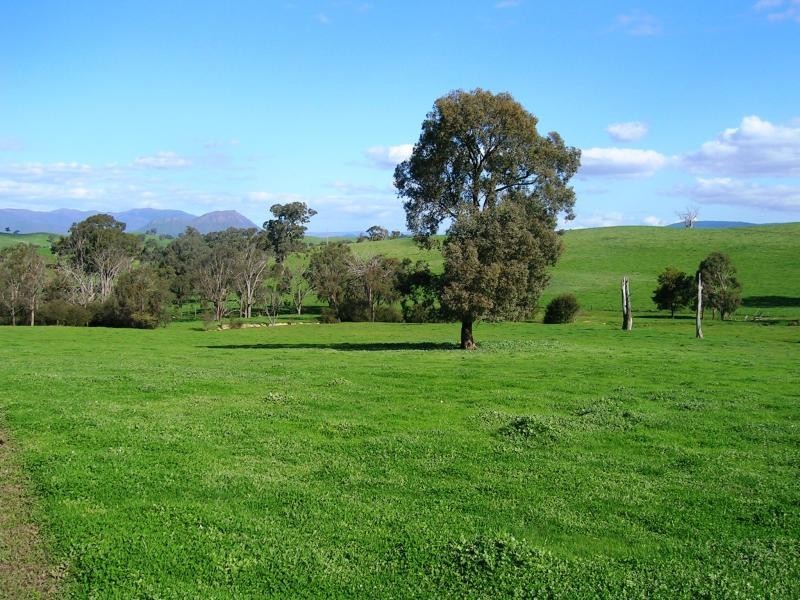 90 Connellys Creek Road, Acheron VIC 3714