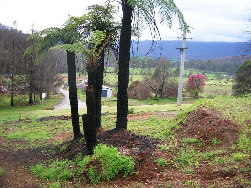 45 Sunds Road, Marysville VIC 3779