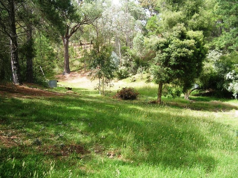 162 Right Arm Taylor Bay, Eildon VIC 3713