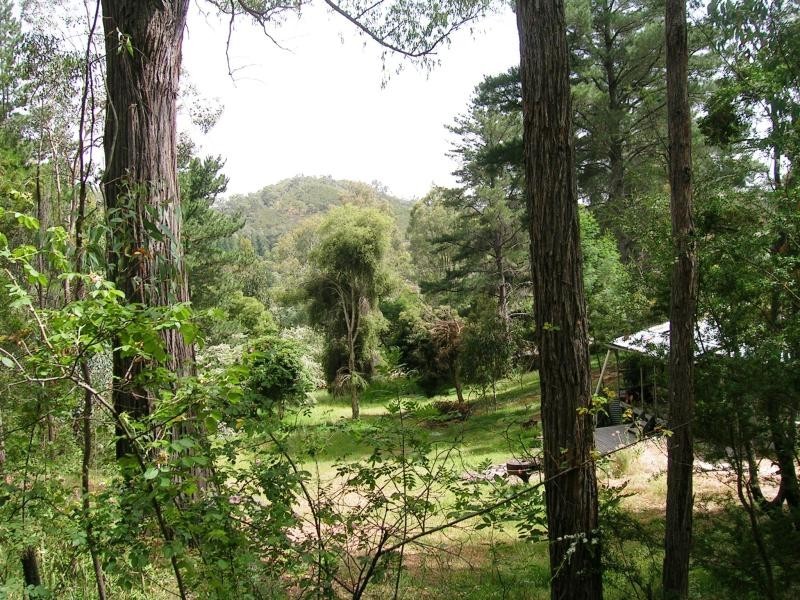 162 Right Arm Taylor Bay, Eildon VIC 3713