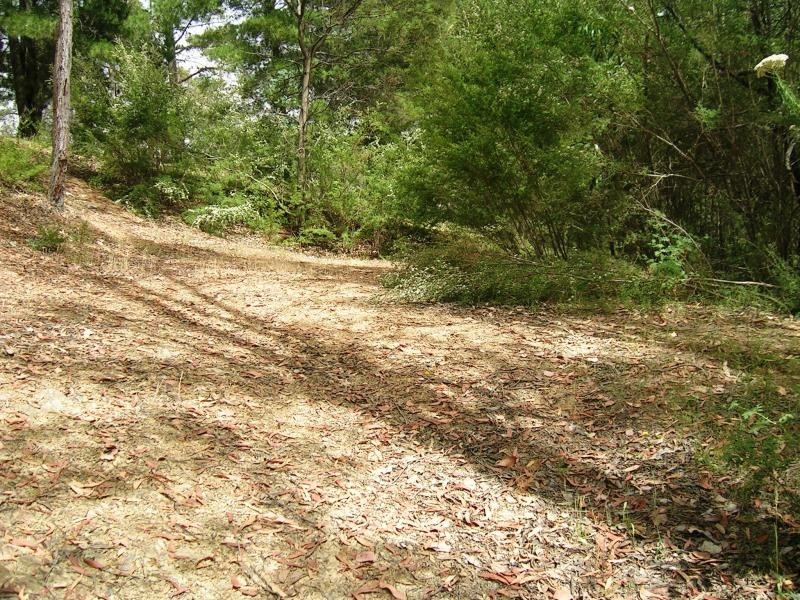 162 Right Arm Taylor Bay, Eildon VIC 3713