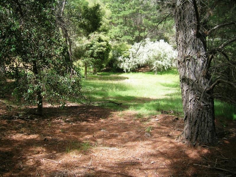 162 Right Arm Taylor Bay, Eildon VIC 3713