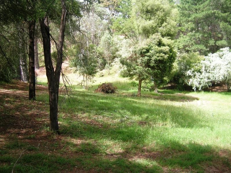 162 Right Arm Taylor Bay, Eildon VIC 3713