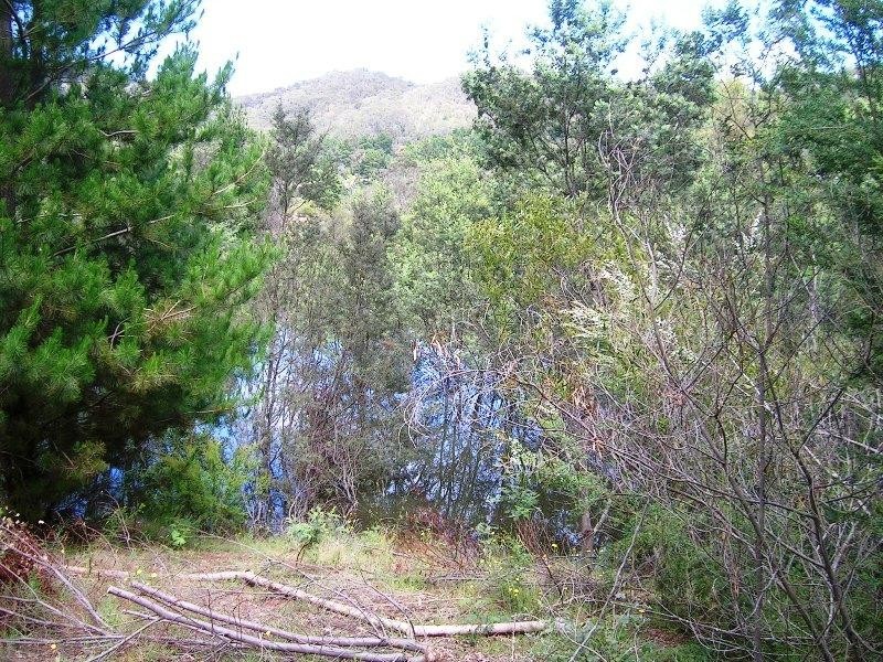 321 Right Arm Taylor Bay, Eildon VIC 3713