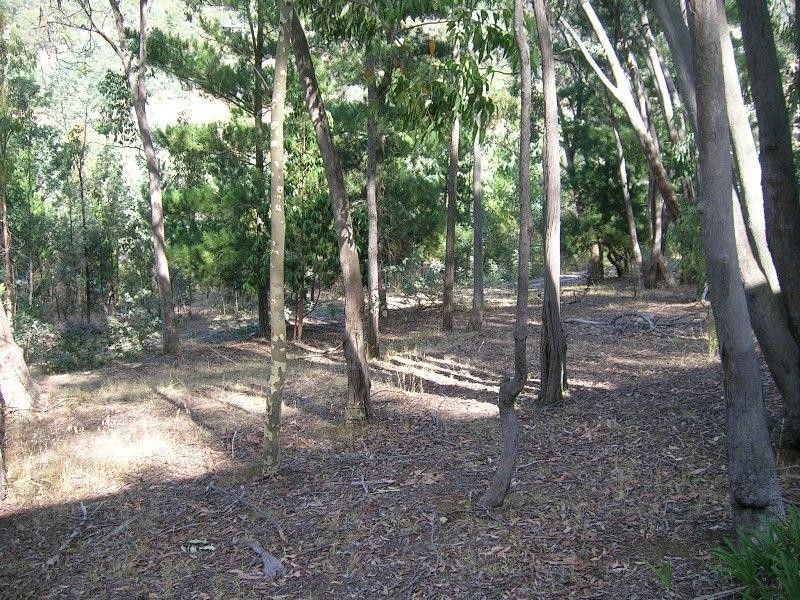 321 Right Arm Taylor Bay, Eildon VIC 3713