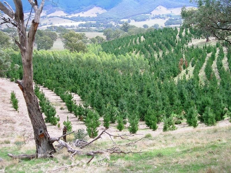 6309 Maroondah Hwy, Alexandra VIC 3714