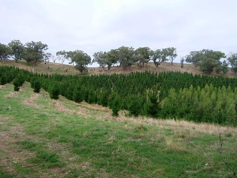 6309 Maroondah Hwy, Alexandra VIC 3714