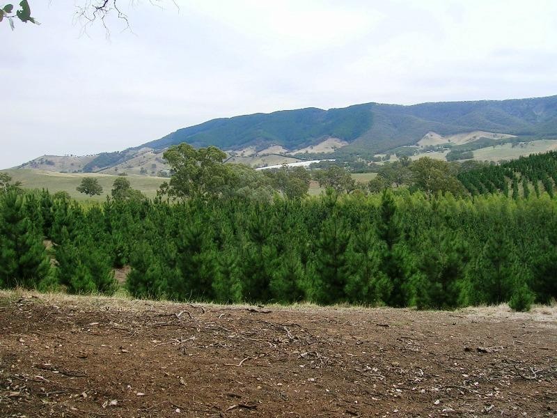 6309 Maroondah Hwy, Alexandra VIC 3714