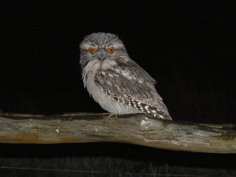 6309 Maroondah Hwy, Alexandra VIC 3714