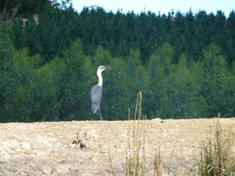 6309 Maroondah Hwy, Alexandra VIC 3714