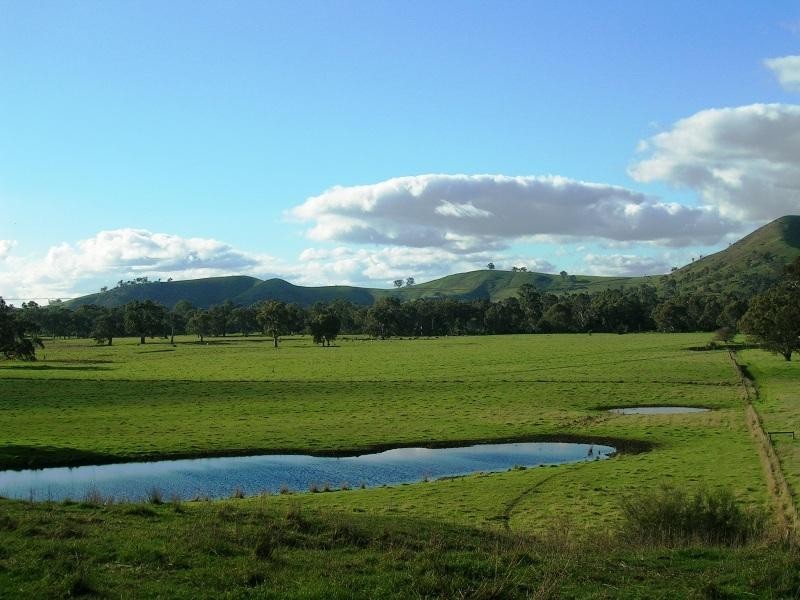 1000 Whanregarwen Road, Alexandra VIC 3714