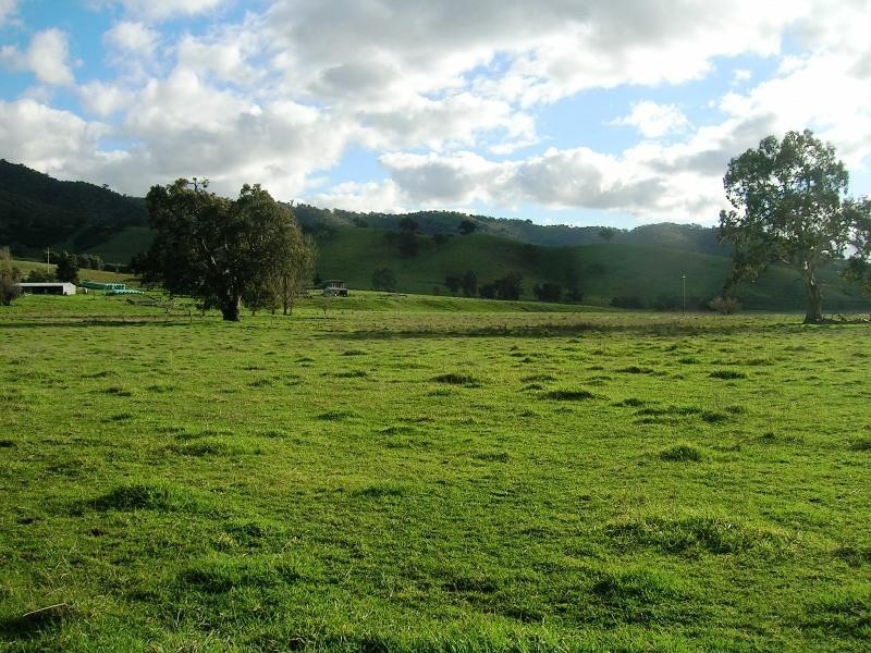 1000 Whanregarwen Road, Alexandra VIC 3714