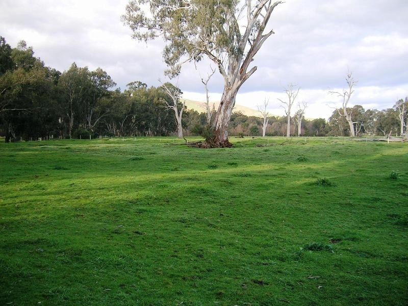 1000 Whanregarwen Road, Alexandra VIC 3714