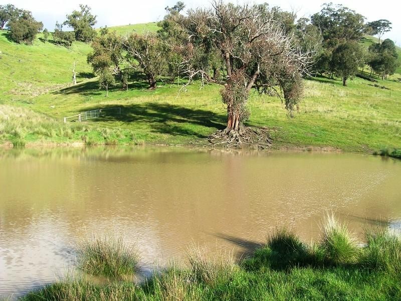 Lot 1 – 2/51 Stevensons Lane, Alexandra VIC 3714