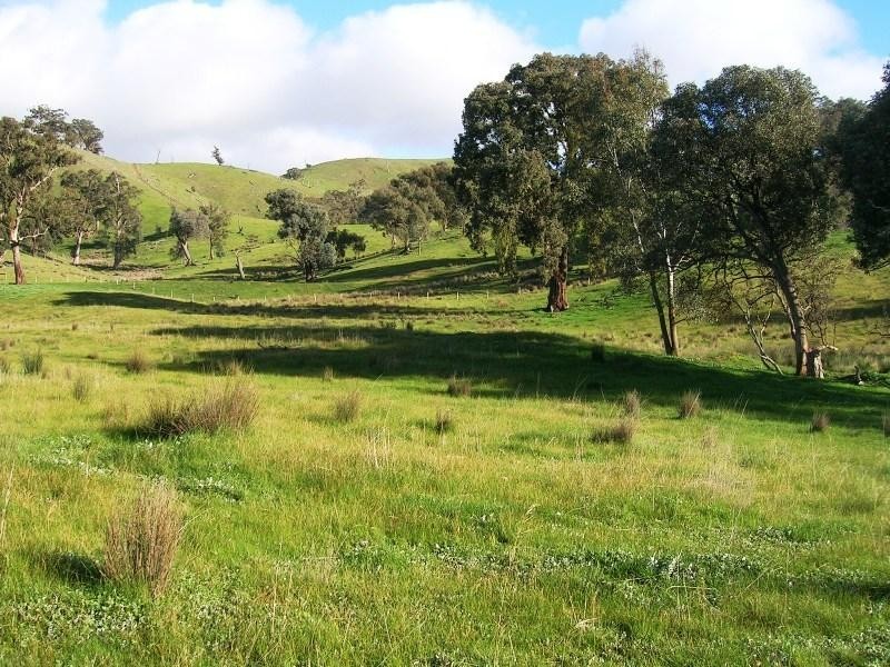 Lot 1 – 2/51 Stevensons Lane, Alexandra VIC 3714