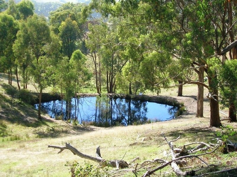 86 Shorts Road, Merton VIC 3715