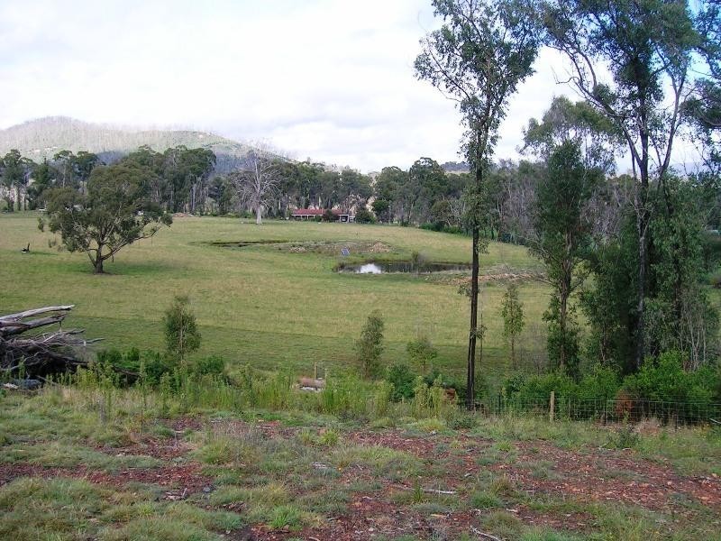 250 South Cathedral Lane, Buxton VIC 3711