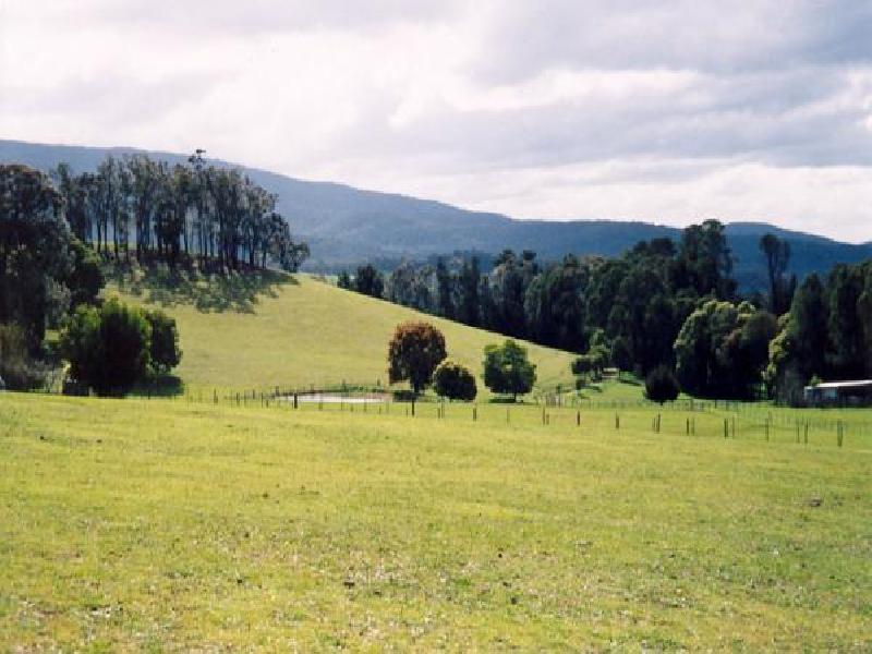 72 WILLIAMS LANE, BUXTON, Buxton VIC 3711