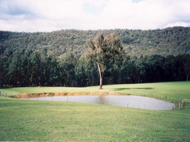72 WILLIAMS LANE, BUXTON, Buxton VIC 3711