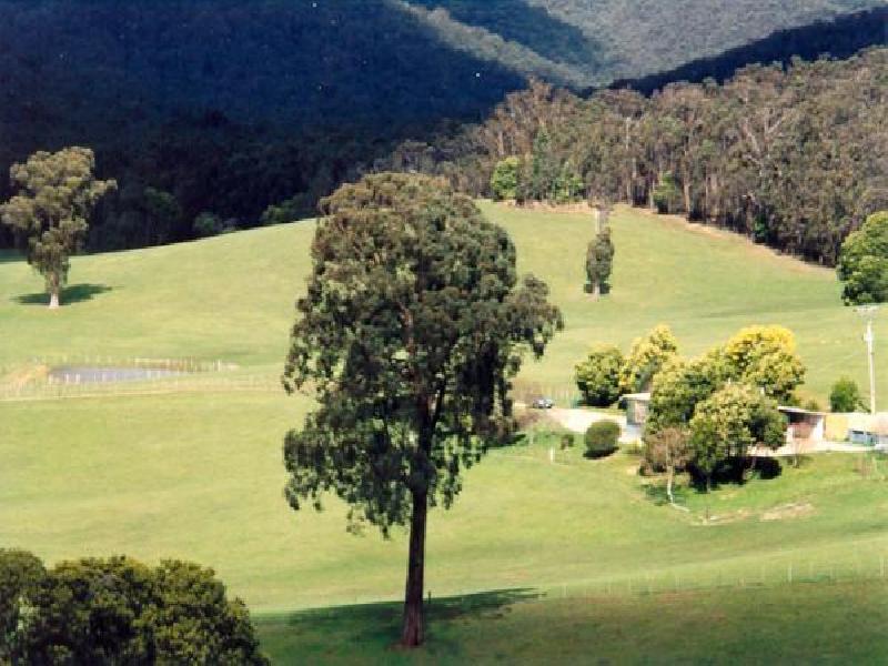 72 WILLIAMS LANE, BUXTON, Buxton VIC 3711