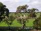 455 LISMORE ROAD, Camperdown VIC 3260