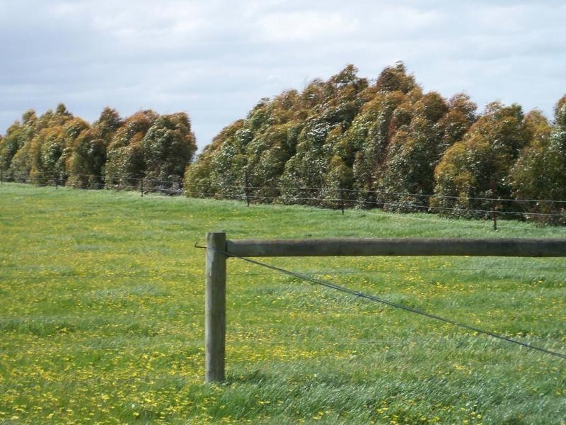 60 COTTIES ROAD, Cundare North VIC 3251