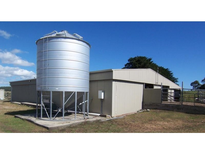 559 TIMBOON NULLAWARRE ROAD, Brucknell VIC 3268