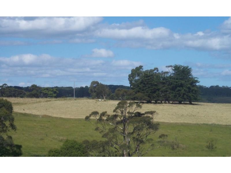 559 TIMBOON NULLAWARRE ROAD, Brucknell VIC 3268