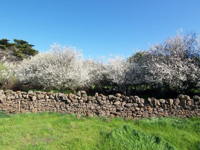 540 Camperdown Derrinallum Road, Derrinallum VIC 3325