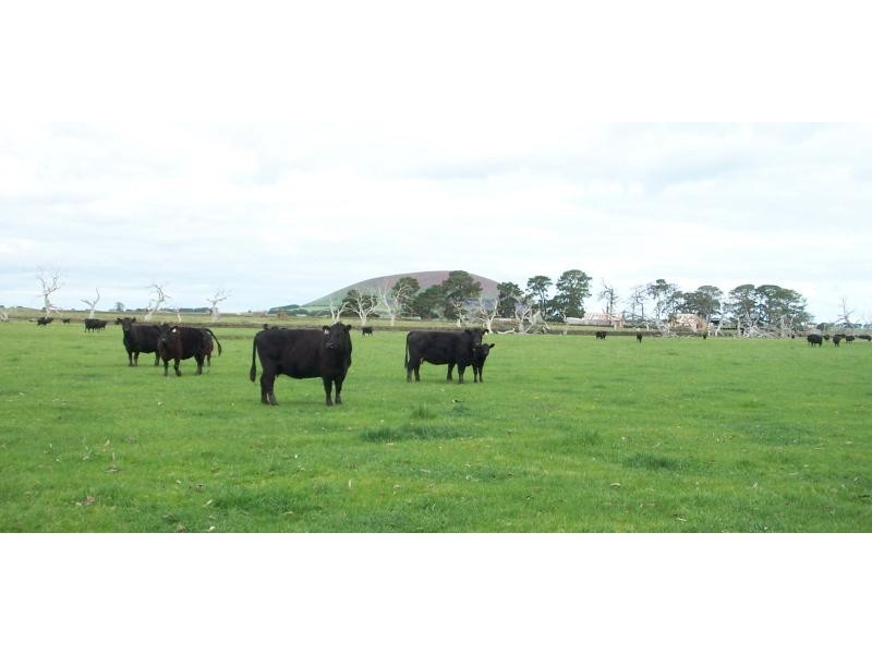 0 Chatsworth Road, Derrinallum VIC 3325