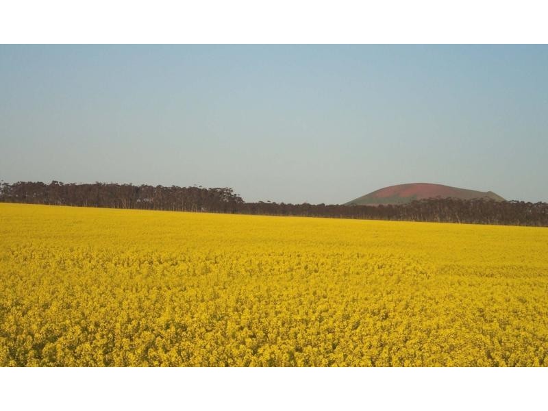 159 Pircarra Lane, Derrinallum VIC 3325