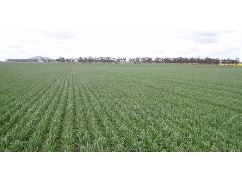 159 Pircarra Lane, Derrinallum VIC 3325