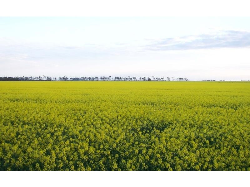 159 Pircarra Lane, Derrinallum VIC 3325