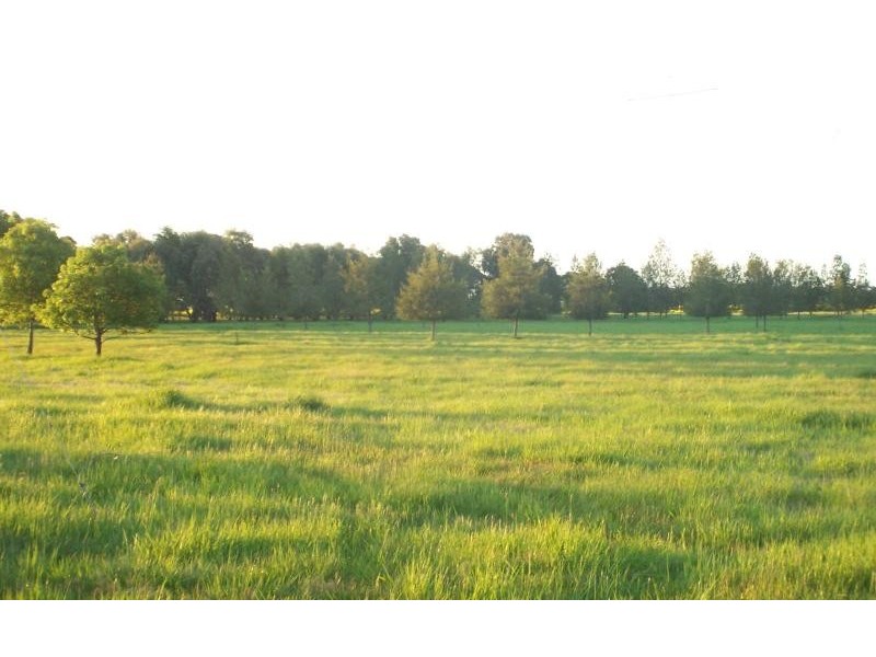 159 Pircarra Lane, Derrinallum VIC 3325