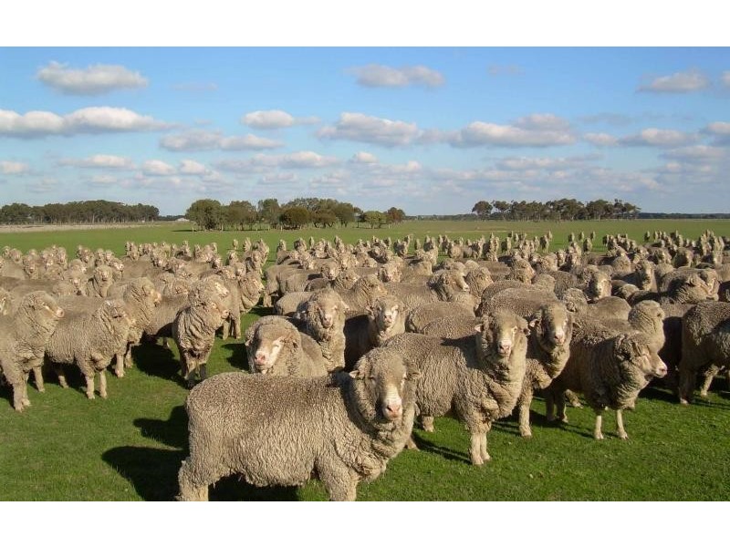 2696 Hamilton Highway, Caramut VIC 3274