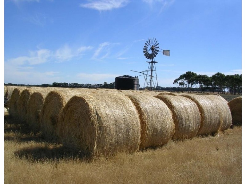 2696 Hamilton Highway, Caramut VIC 3274