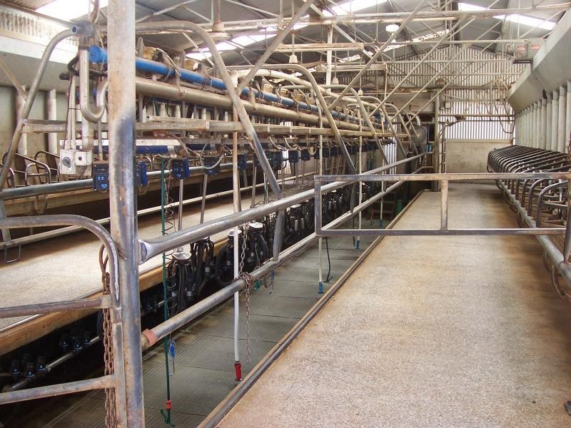 326 Crescent Road, Simpson VIC 3266