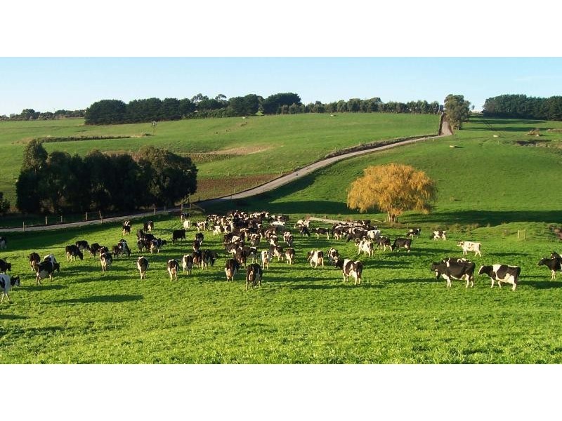 326 Crescent Road, Simpson VIC 3266