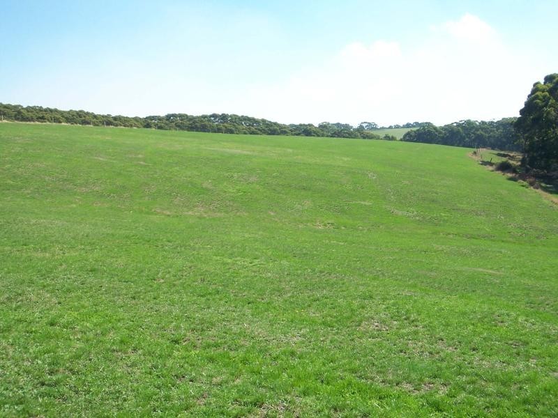 0 Princetown Road, Simpson VIC 3266