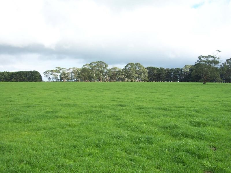 909 Cobden South Ecklin Road, Ecklin South VIC 3265