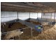 909 Cobden South Ecklin Road, Ecklin South VIC 3265
