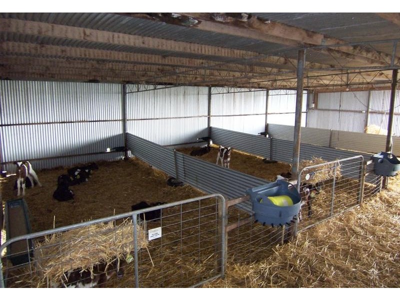 909 Cobden South Ecklin Road, Ecklin South VIC 3265