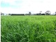 909 Cobden South Ecklin Road, Ecklin South VIC 3265