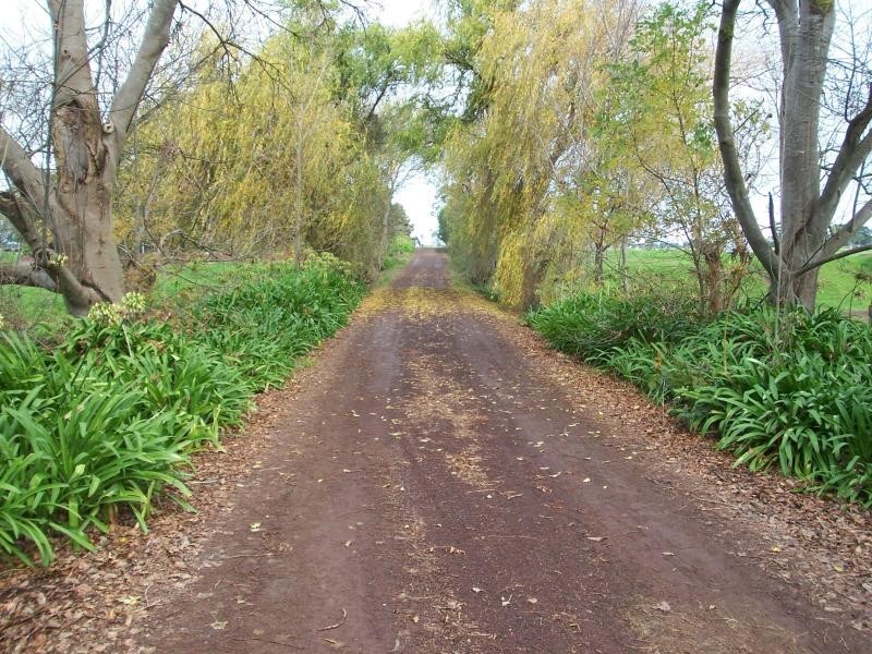 909 Cobden South Ecklin Road, Ecklin South VIC 3265