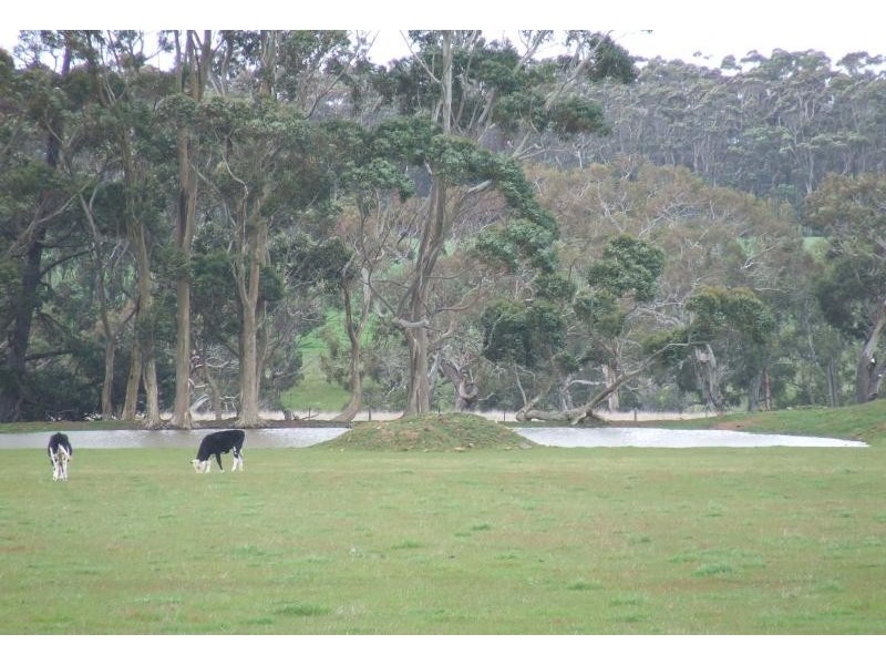 2318 Mortlake Ararat Road, Woorndoo VIC 3272